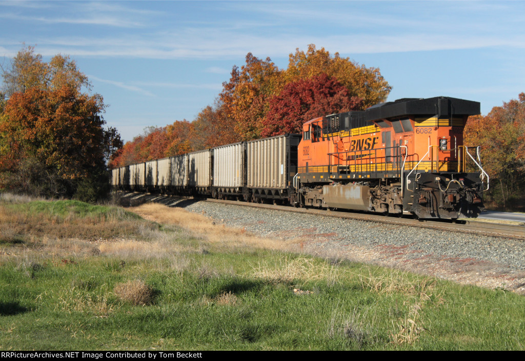 DPU and fall color